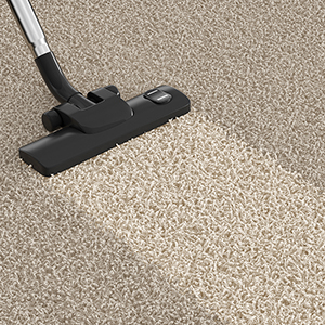 best carpet cleaning St. Paul